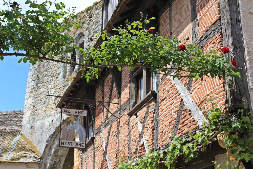 Вилла Le Meuble Monestois Mennetou-sur-Cher Экстерьер фото