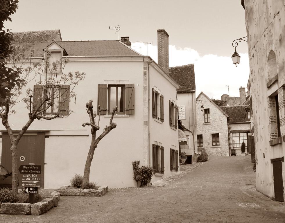 Вилла Le Meuble Monestois Mennetou-sur-Cher Экстерьер фото